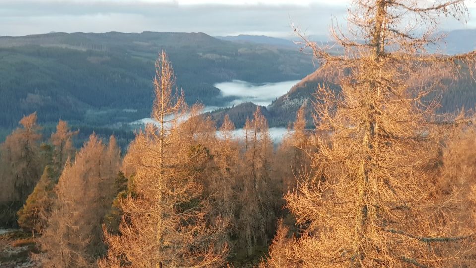 Slideshow 5 - Slide 10